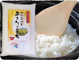 あきたこまち 白米
